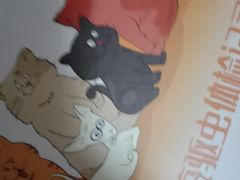 -天宠宠物医院24小时·急重症诊疗中心·全科·腔镜特色(和平分院)