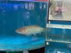 -红日饭店(裕隆三路店)