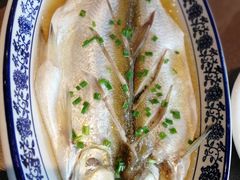 清蒸白水鱼-品渔味湖鲜馆(拈花湾店)