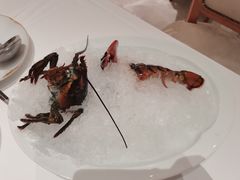-京彩臻品火锅