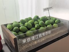 -introlemons(北京西单更新场店)
