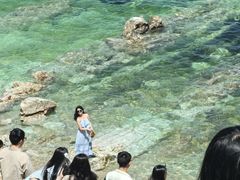-养马岛旅游度假区