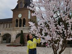 -中旅阿那亚九龙湖·公主酒店
