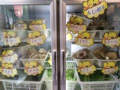 -菌之家·专业纯野生菌火锅·特色炒菌