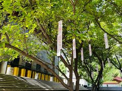 -西安大兴善寺
