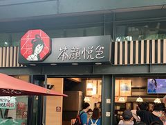 门面-茶颜悦色(岳麓山顶店)