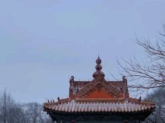 -北陵公园