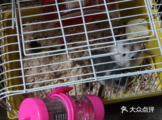 新装备回来啦，肥仔，你给我粗来做运动！