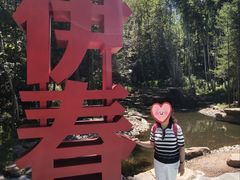 -汤旺河林海奇石景区