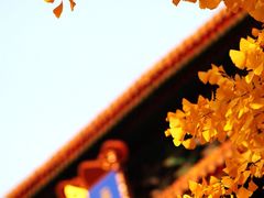 -故宫博物院(故宫)