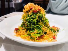 巧拌豆苗-四季民福烤鸭店(王府井灯市口店)