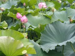 -韶山毛泽东同志故居