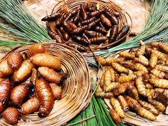 -昆虫窝子·特色云南菜(拓东路总店)