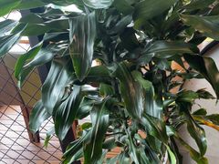 -盐帮食坊•小河帮川菜(四川师大店)