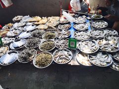 -南沙十九涌渔人码头-南门