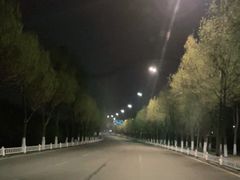 -哈尔滨大剧院