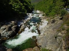 -黑河国家森林公园