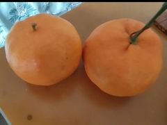 -鲜丰水果(大武汉1911店)