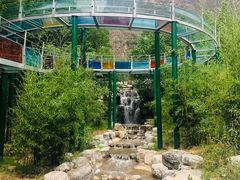 -十渡东湖港风景区