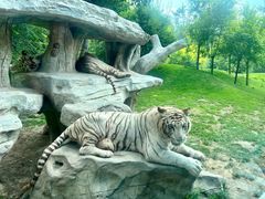 -北京野生动物园