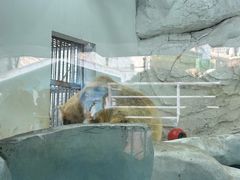 -海合安成都极地海洋公园