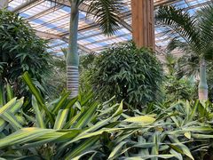 -南宫五洲植物乐园