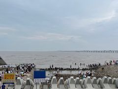-南汇新城海滩