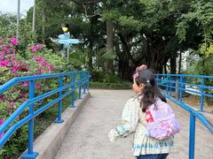 -九龙公园