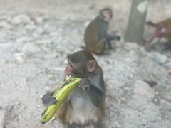 -蓝湾碧波·老字号·疍家非遗海上餐厅