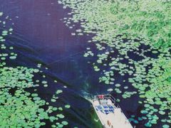 -洪湖生态旅游区