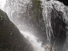 -长洲岛