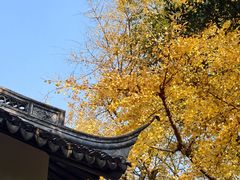 -汇龙潭