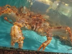 -拉完海鲜大排档(温岭店)