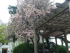 android_upload_pic-南通博物苑-崇川人民公园