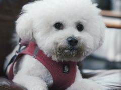 -北马山庄植趣咖啡