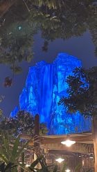 -翱翔飞越地平线