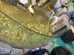 -苏州海洋馆