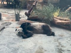 -石家庄市动物园