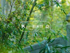 -习家池