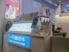-一只酸奶牛(春熙路店)