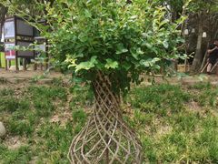 -武汉紫薇都市田园