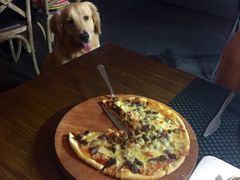 百好乐比萨-百好乐宠物友好餐厅(朝外大街店)