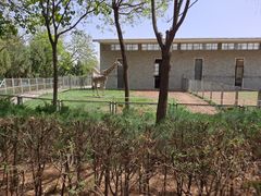 -石家庄市动物园