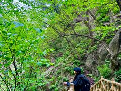 -洛阳白云山景区