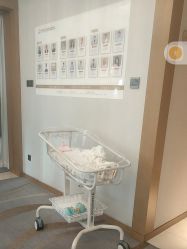 -大美母婴月子中心(希尔顿店)