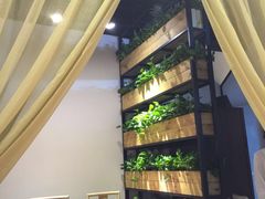 -潮堂(环球金融中心店)