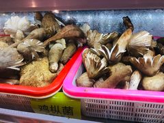 -菌海森林·非遗野生菌火锅(西山区滇池路摩根道店)