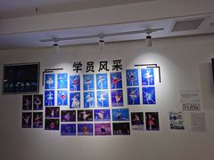 -中央芭蕾舞团·中芭艺蕾(酒仙桥明星校区)