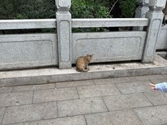 -云龙山