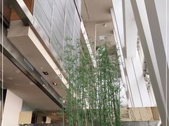 -上海柏悦酒店·世纪100牛排馆